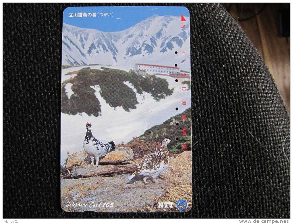 4455 Montagne Lagopede Perdrix Des Neiges Chasse Gibier Hunt North Pole Arctic Arctique  Phone Card Carte Telephonique - Perdrix, Cailles