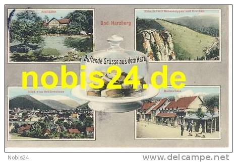 0000386359 38667 Bad Harzburg Molkenhaus Sennhütte O 1915 - Bad Harzburg
