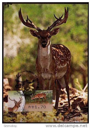 Persian Fallow Deer ATM 004 MC (3) Maximum Card 2011 Israel - Maximumkaarten