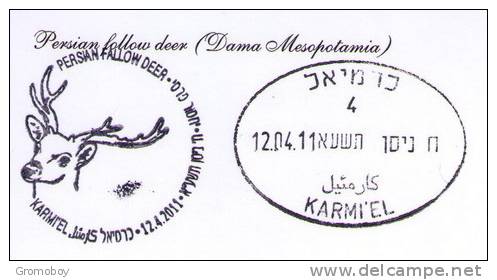 Persian Fallow Deer ATM 004 MC (3) Maximum Card 2011 Israel - Cartoline Maximum