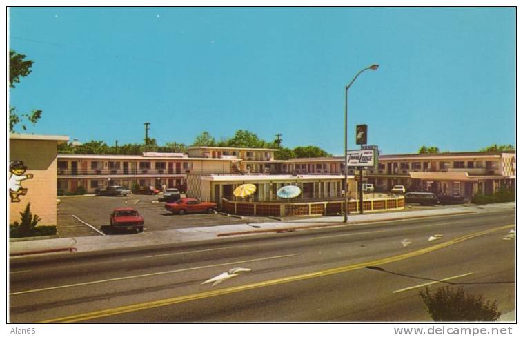Reno NV, TraveLodge Motel With 2 Red Ford Mustangs On C1960s Vintage Postcard - Reno