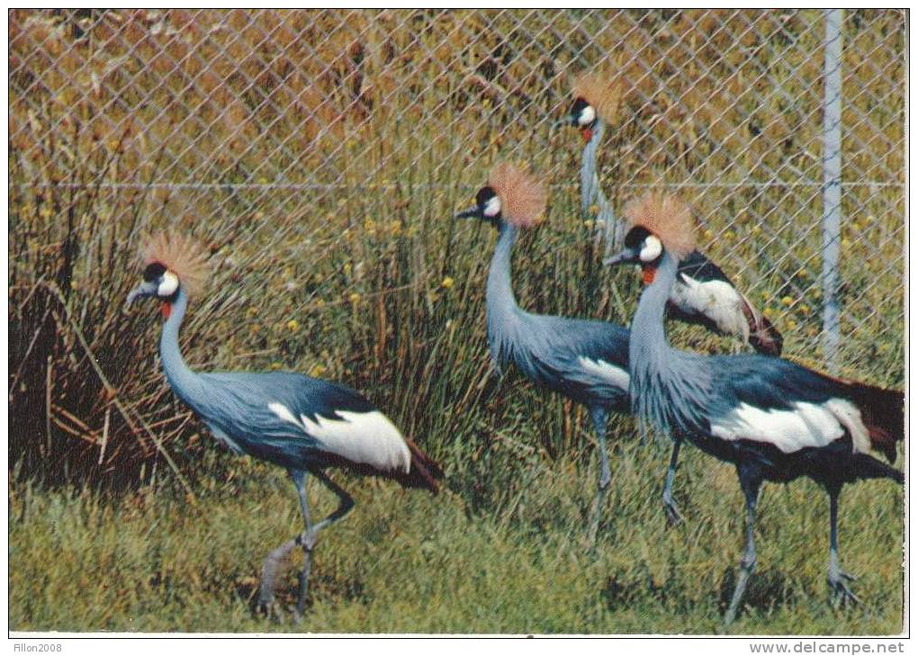 VILLARS-les-DOMBES (01)  "Parc Ornithologique Départemental De La Dombes" - Villars-les-Dombes