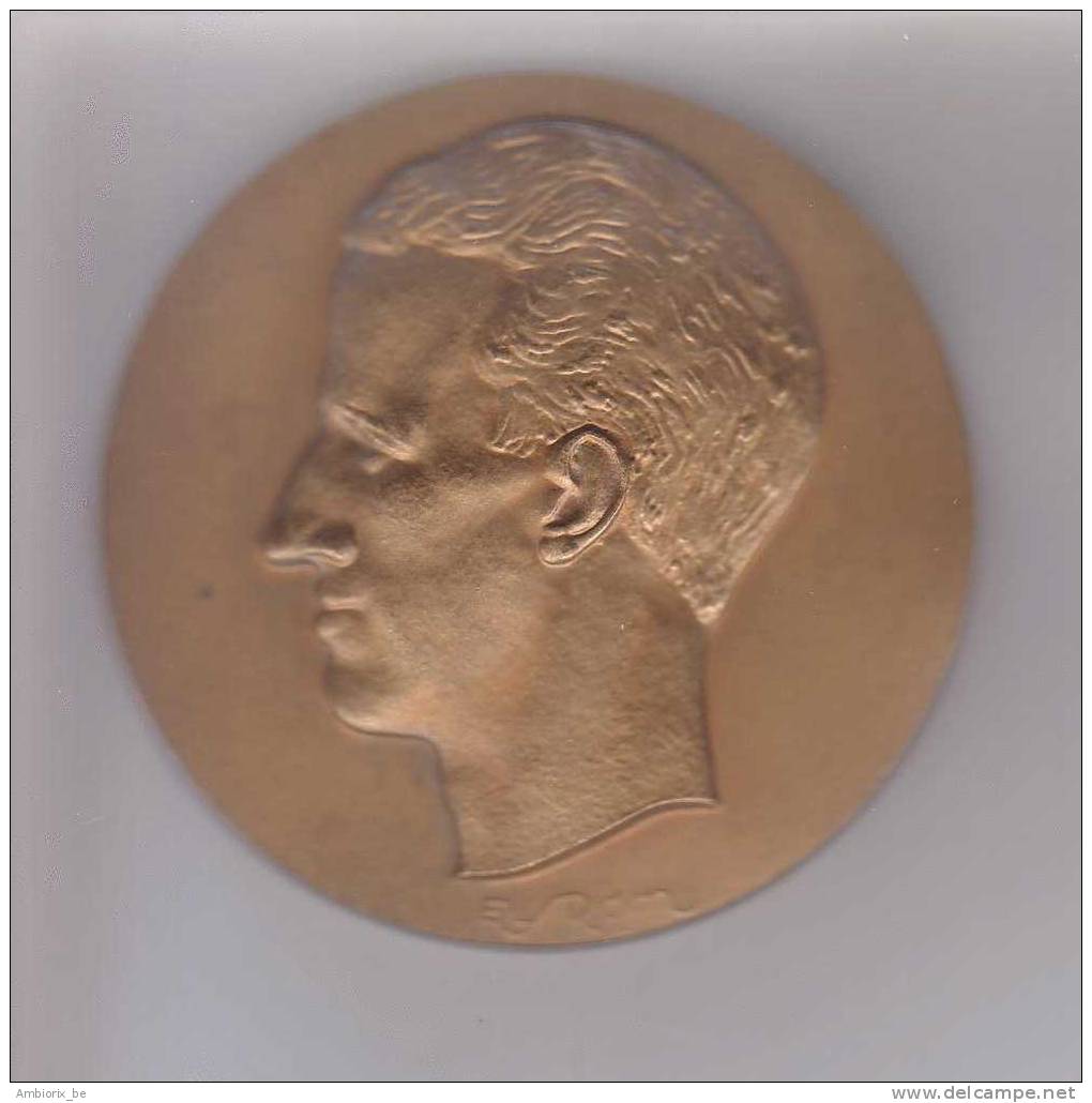 Médaille Roi Baudouin - Adel