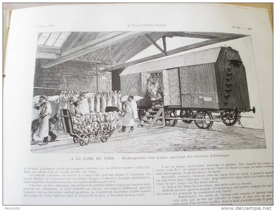 1890 Mme MELBA SEMAINE SAINTE A SEVILLE IMPORTATION DES MOUTONS ABATTOIR DE LA VILLETTE FUSIL ARMEE ALLEMANDE MOD 1888