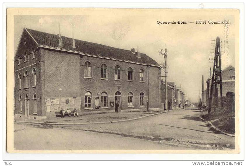 D5291 - Queue -du-Bois  - Hôtel Communal - Beyne-Heusay