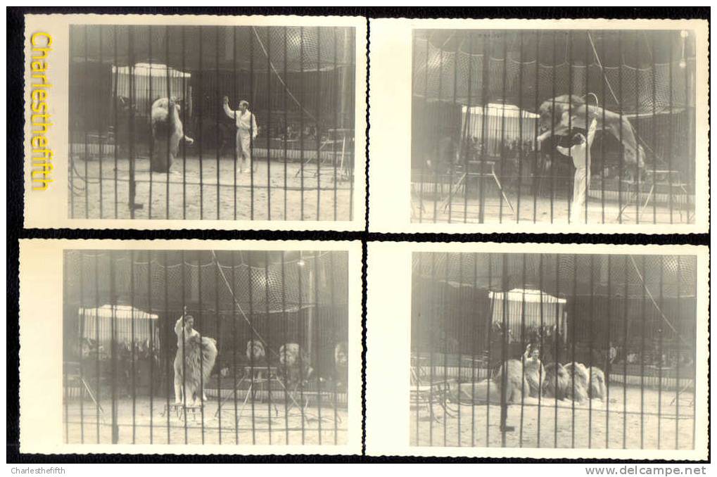 LE CIRQUE FLAMAND - 4 X PHOTO 14 X 9 CIRCUS CIRQUE DEMUNCK - MINNAERT - SEMAY -  Dompteur De Lion Nr 21 - Circo
