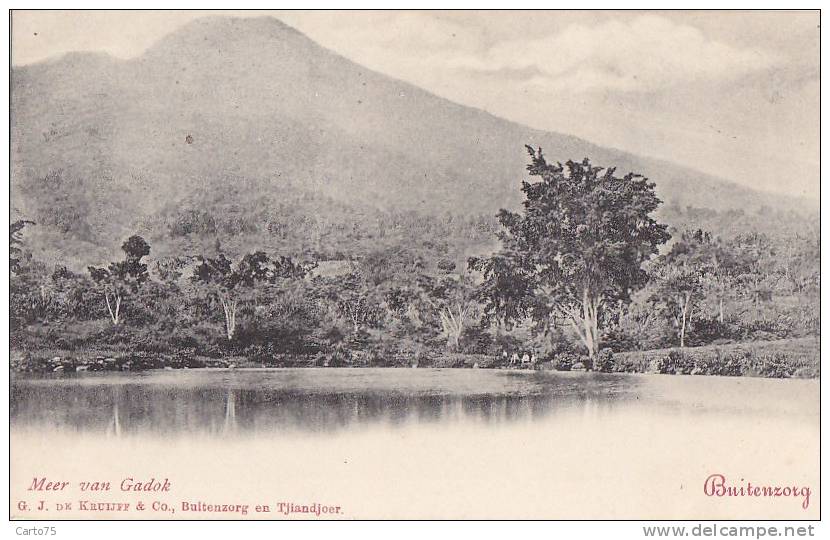 Indonésie -  Ile De Java -  Buitenzorg -  Meer Van Gadok - Indonésie