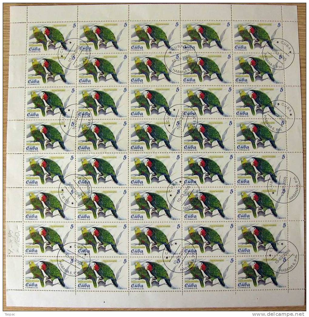 2005 Mi# 4679-4683 Used - Sheets Of 40 - Parrots - Gebruikt