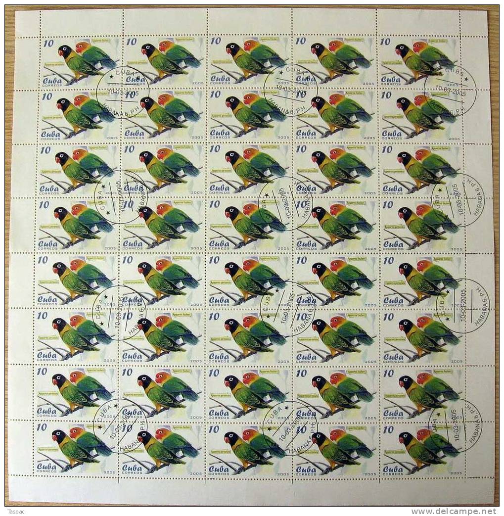 2005 Mi# 4679-4683 Used - Sheets Of 40 - Parrots - Gebraucht