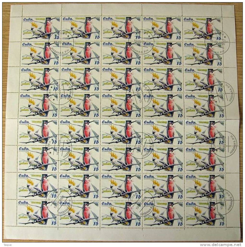 2005 Mi# 4679-4683 Used - Sheets Of 40 - Parrots - Gebruikt