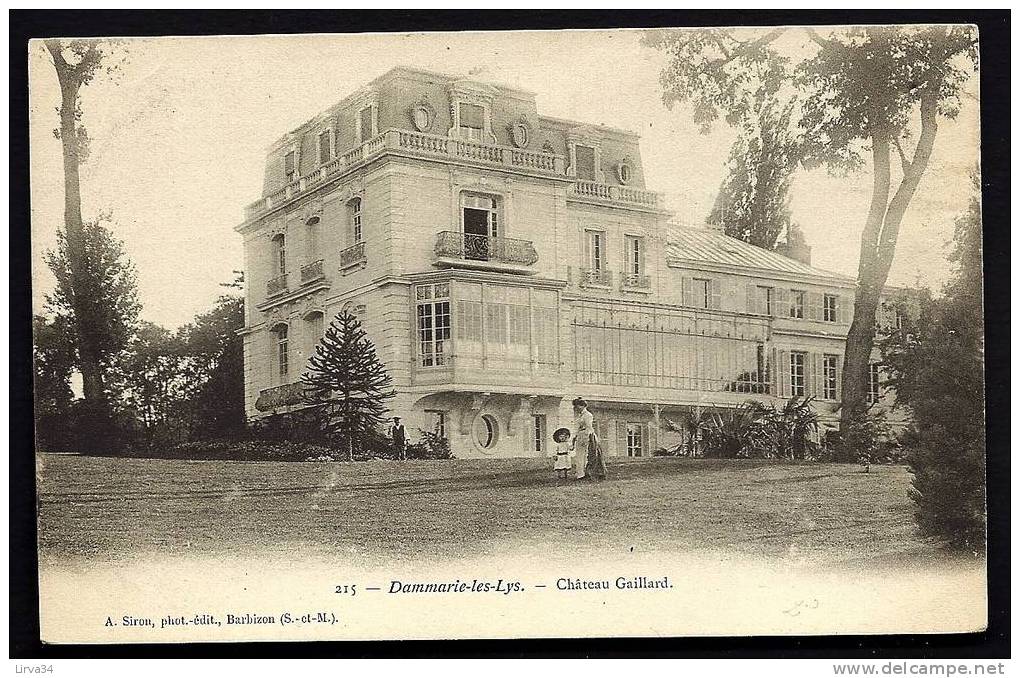 CPA  PRECURSEUR- FRANCE- DAMMARIE-LES-LYS (77)-  LE CHATEAU GAILLARD EN 1900 EN TRES GROS PLAN- ANIMATION - Dammarie Les Lys