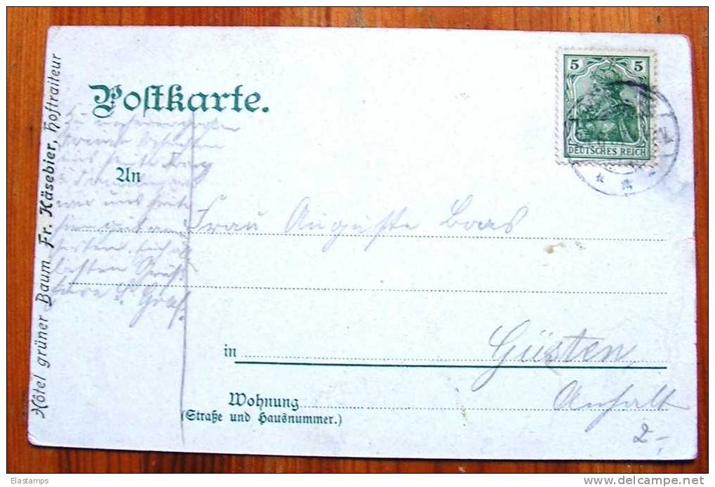 == Wörlitz , Partei Am Goitischem Hause ..1907  Zudruck Hotel Grüner Baum , Reklame - Woerlitz