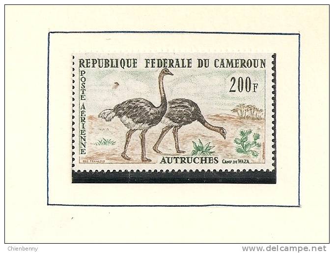 REPUBLIQUE CAMEROUN POSTE AERIENNE - Struisvogels