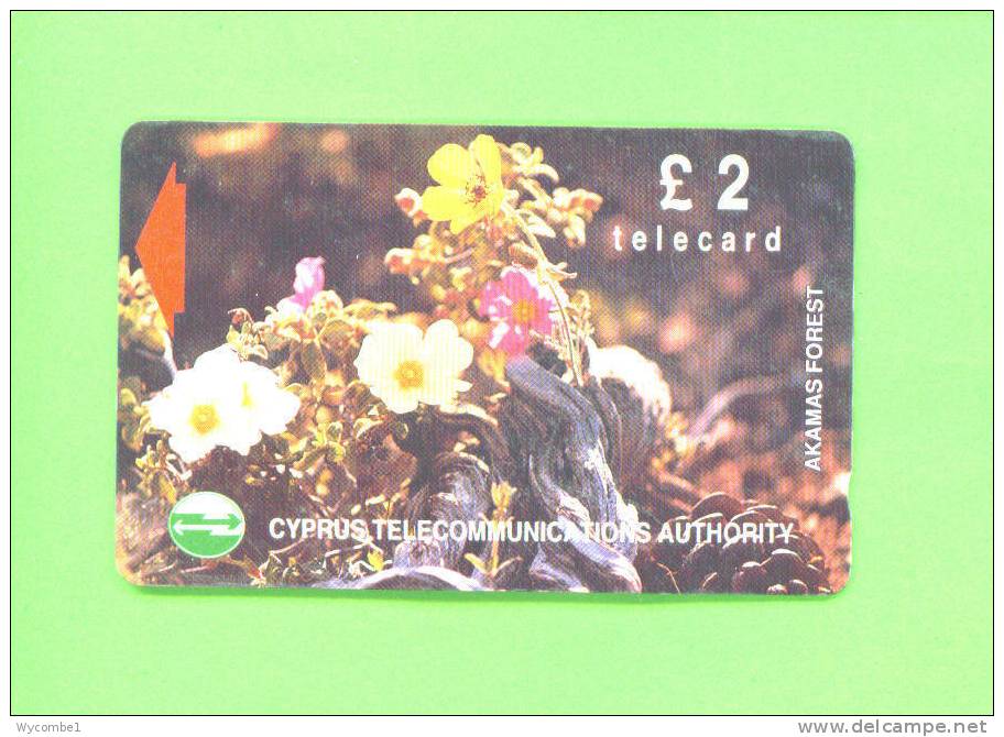 CYPRUS  -  Magnetic Phonecard As Scan - Zypern