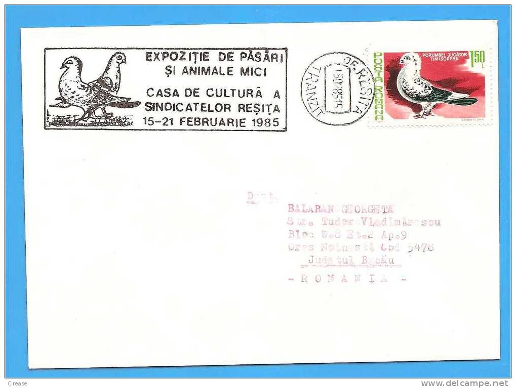 Cancel Special Exhibition Of Pigeons. ROMANIA  Cover 1985. - Tauben & Flughühner