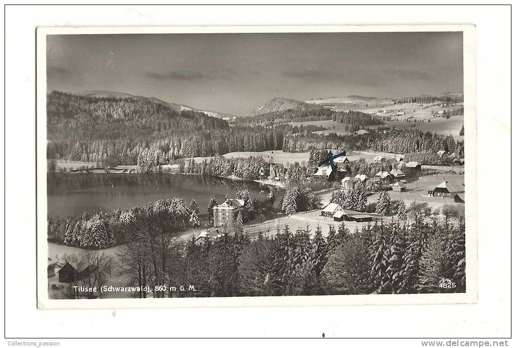 Cp, Allemangne, Titisee, (Schwarwald), écrite - Titisee-Neustadt