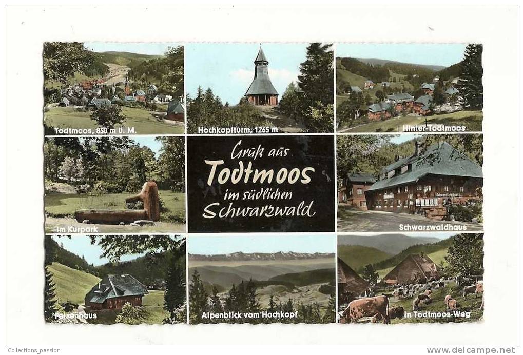 Cp, Allemangne, Todtmoos, Multi-Vues, Voyagée 1964 - Todtmoos