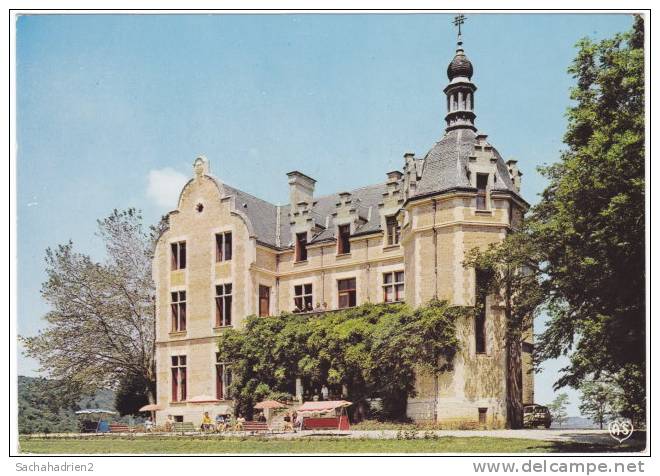11. Cpsm. Gf. CHALABRE. Château De Falgas. 101 - Other & Unclassified