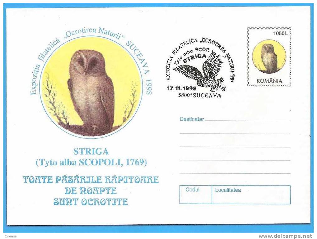 Little Owl, Owls, Birds Tyto Alba. ROMANIA Postal Stationery Cover 1998 - Owls