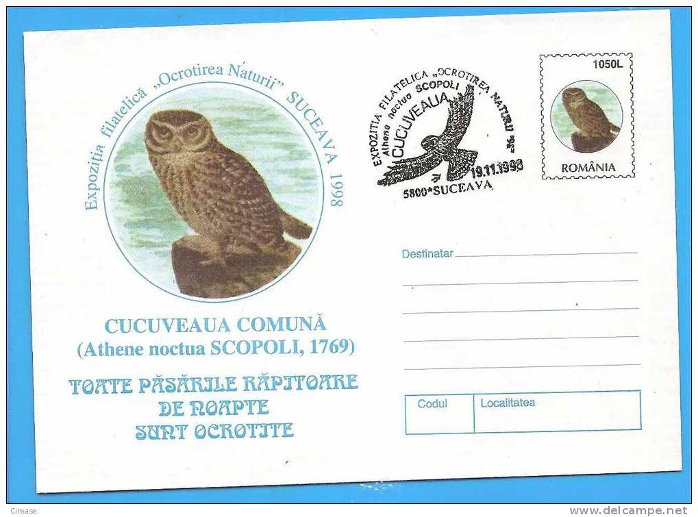 Little Owl, Owls, Birds.  Athene Noctus. ROMANIA Postal Stationery Cover 1998 - Hiboux & Chouettes