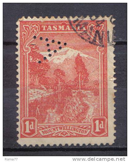 SS6098 - TASMANIA , 1d Wmk V Over Crown Reversed And Perfin  " A ". TATTERSALL’S A PATTERNS - Oblitérés