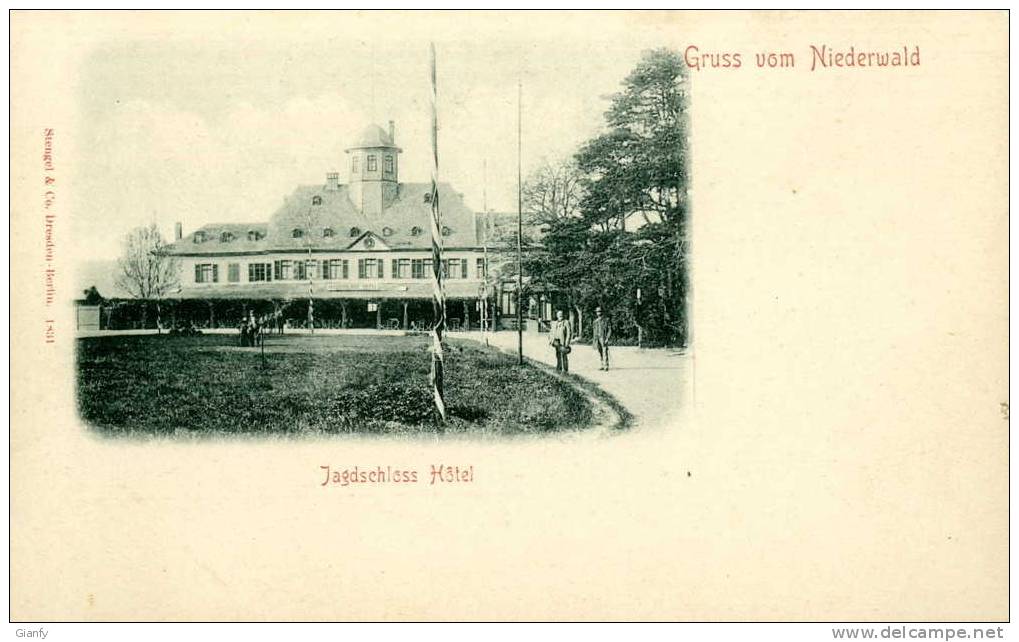 NIEDERWALD JAGDSCHLOSS HOTEL SVIZZERA SUISSE 1900 - Niederwald