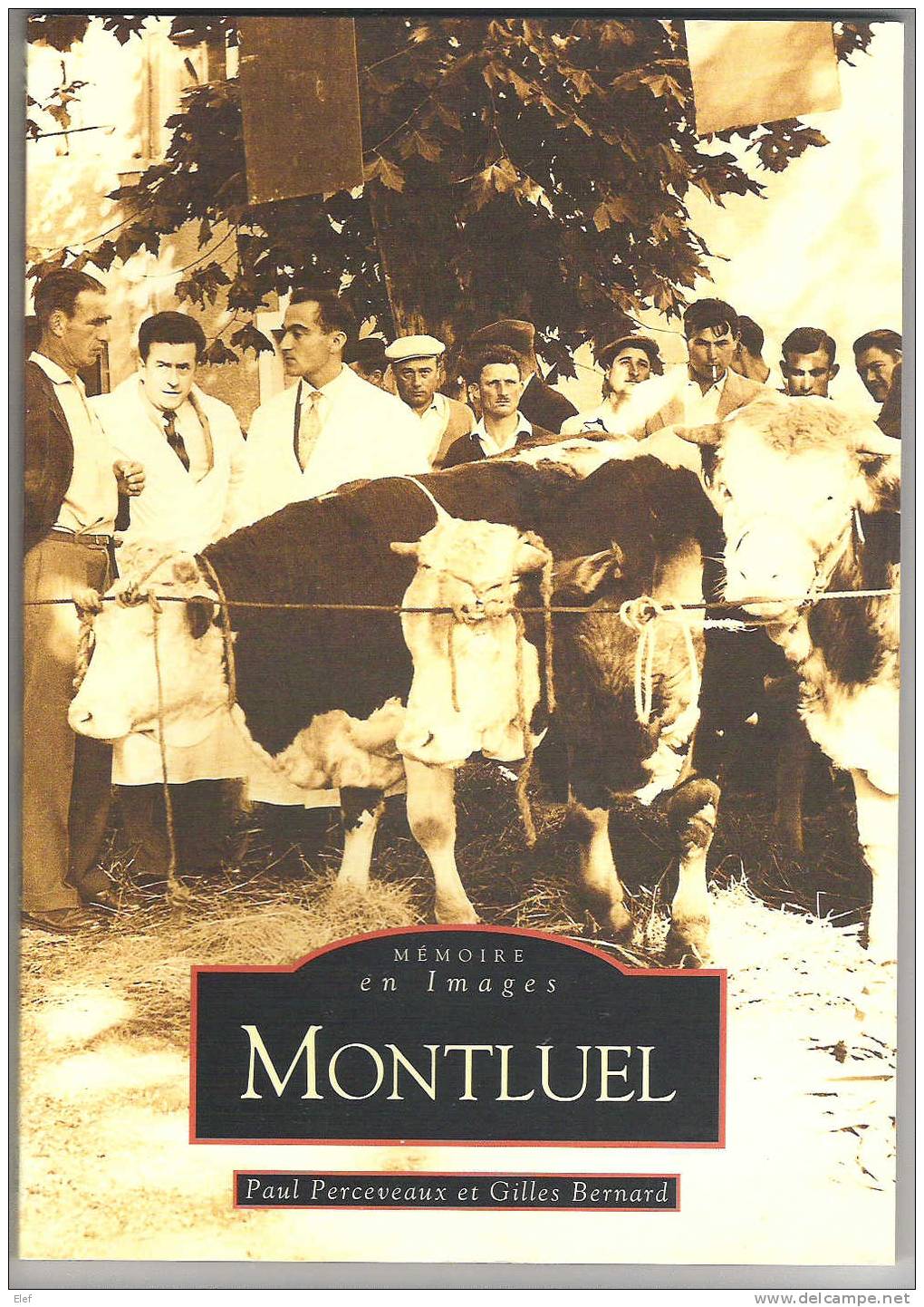 Livre MONTLUEL,Ain,"Memoires En Images";Perceveaux / Bernard; Cartes & Photos:Pétanque,Soie,Aviation,128 Pages,ed Sutton - Books & Catalogs