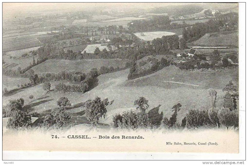 59 CASSEL Bois Des Renards - Cassel