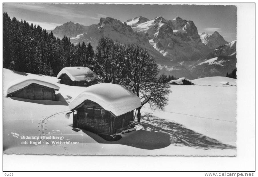 Bidmialp (Hasliberg) Mit Engel Und Wetterhörner - Hasliberg