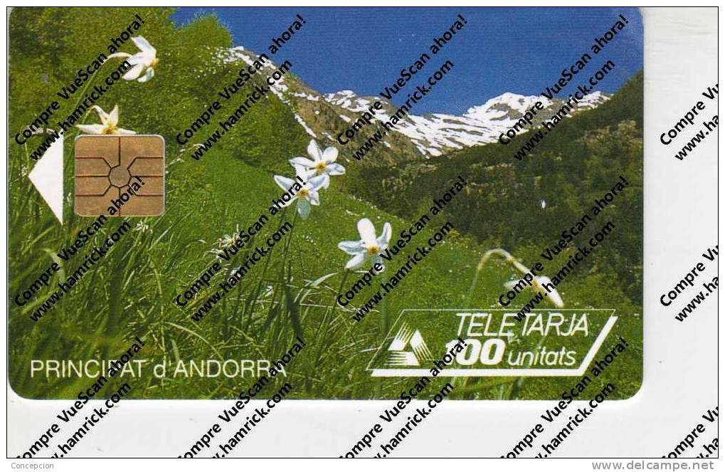 TARJETAS TELEFONICA  N  17 USADA - Andorre