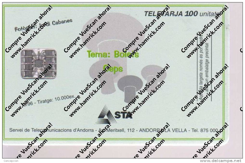 TARJETAS  TELEFONICA N 61 USADA - Andorre