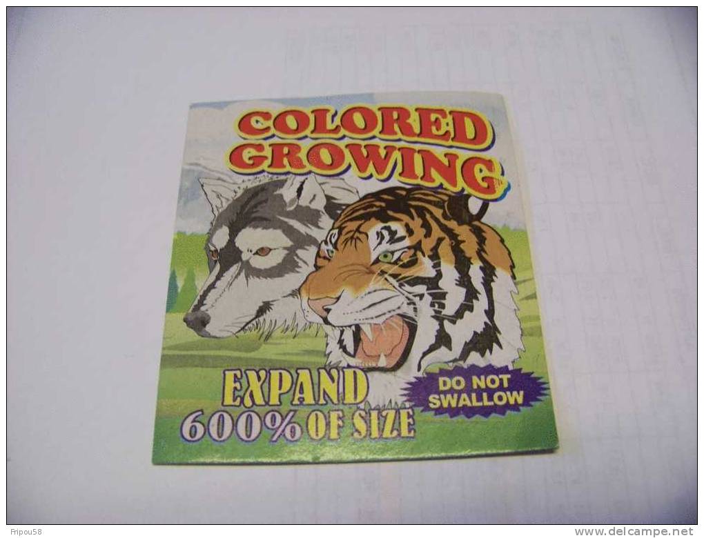 COLORED GROWING - TIGRE - Sonstige & Ohne Zuordnung