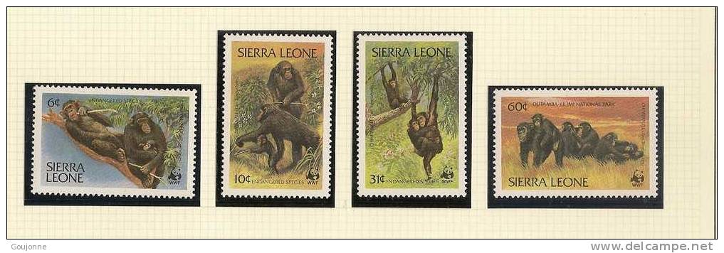 SIERRA LEONE  Faune Chimpanze  WWF   553 556** - Chimpanzés