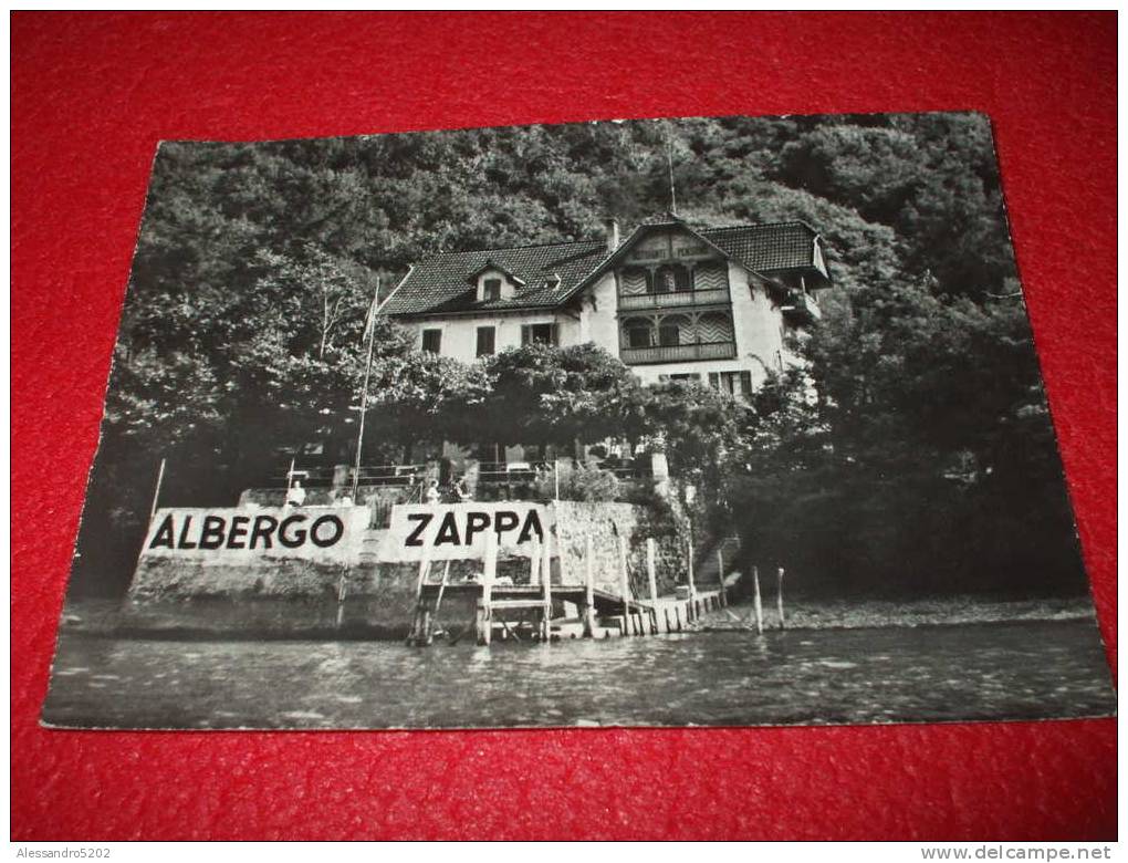 TI Tessin ,  Lago Di Lugano , Brusino Arsizio - Albero Hotel Zappa 1958 Rara - Brusino Arsizio