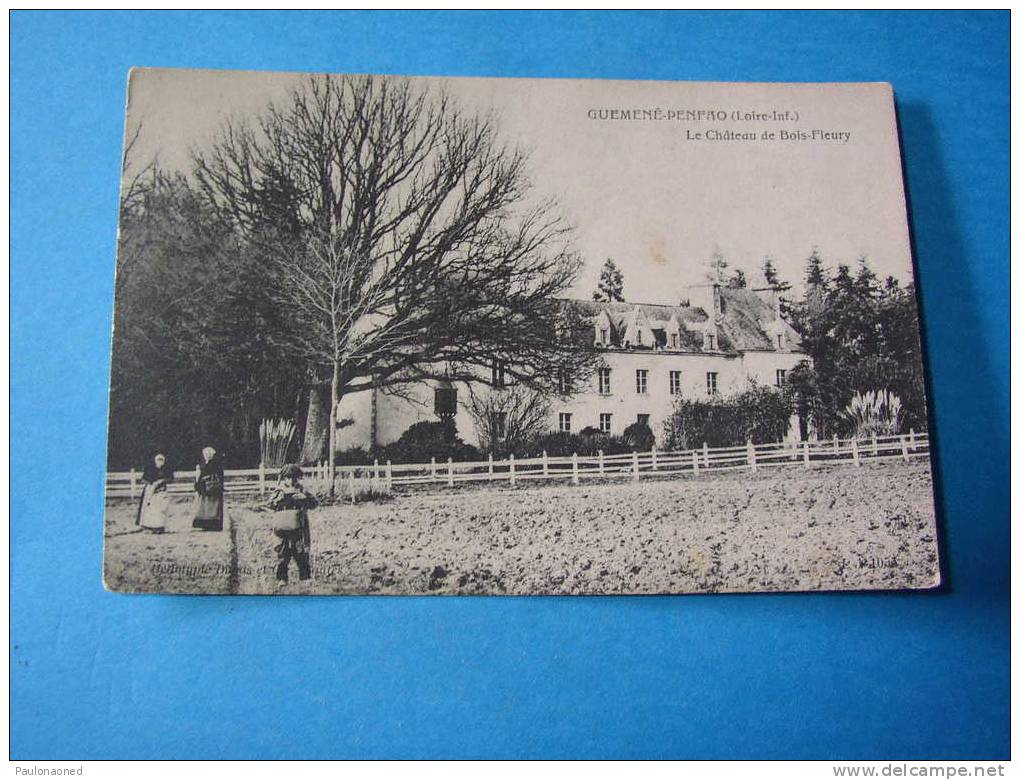 GUEMENE PENFAO      LE CHATEAU DE BOS FLEURY - Guémené-Penfao