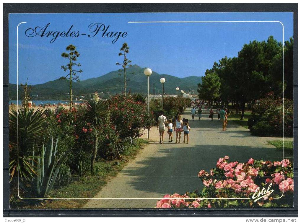 ARGELES PLAGE . Carte Animée. Voir Recto - Verso  (M221) - Argeles Sur Mer