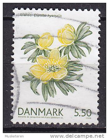 Denmark 2006 Mi. 1424  5.50 Kr Flowers Blumen Winterling Erantis Hyemalis - Oblitérés