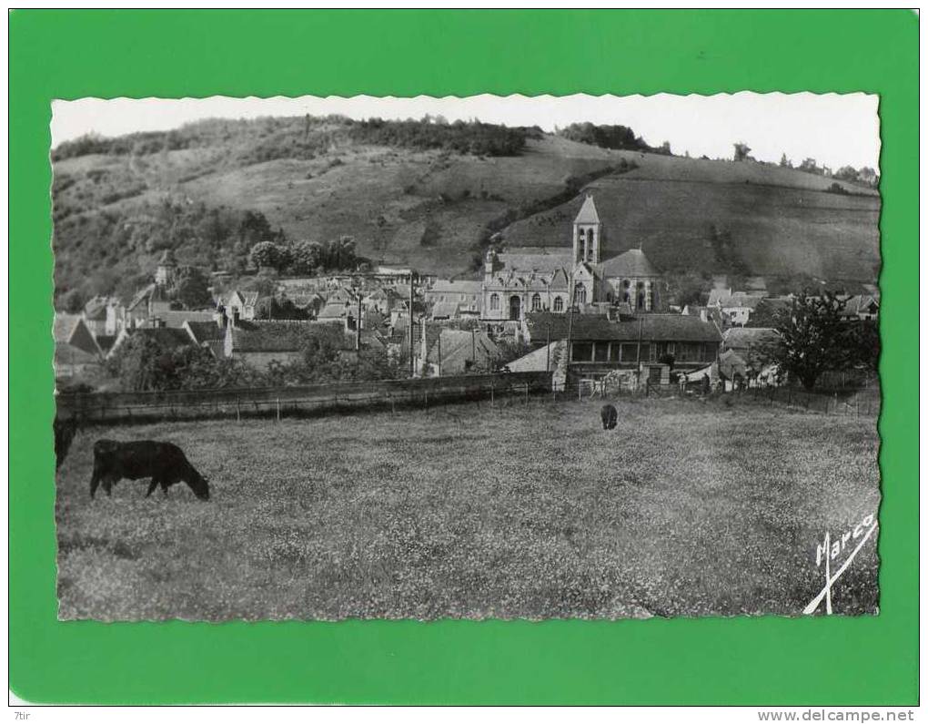 VETHEUIL VUE PANORAMIQUE - Vetheuil