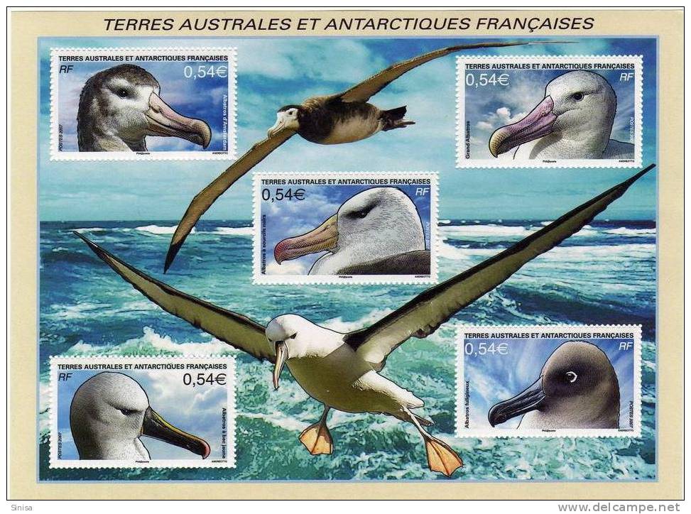 France / FSAT / TAAF / Animals / Birds - Unused Stamps