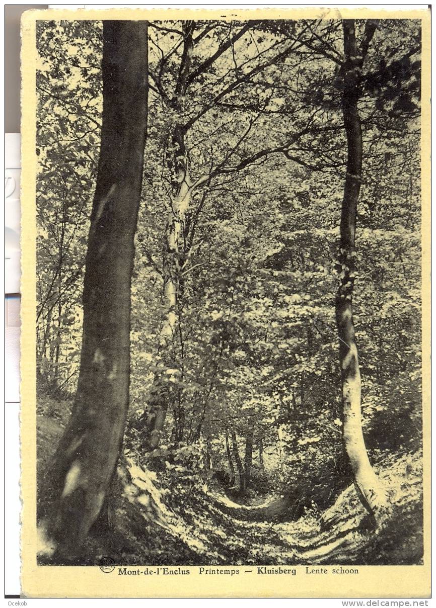 Kluisberg / Mont-de L'enclus  Printemps - Lente Schoon - Kluisbergen