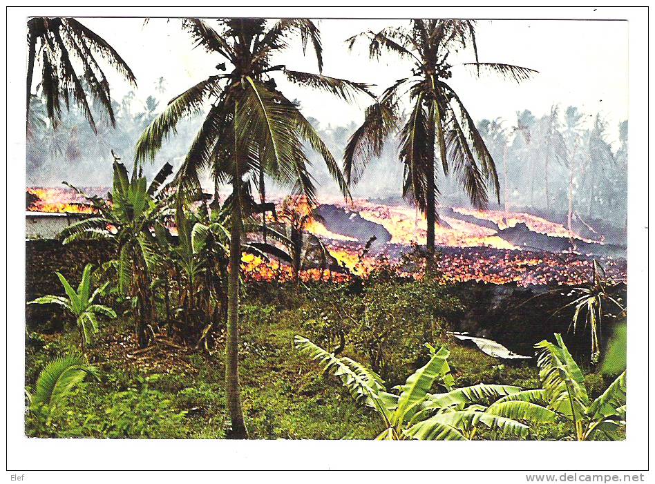 Grande Comore: Coulée De Lave à SINGANI ; Avril 1977; Volcan / Volcanisme; :Vulcano; TB, Peu Courante ! - Comoros