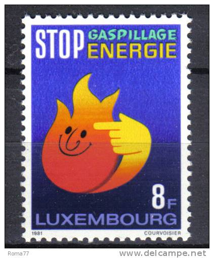 FRZ473 - LUSSEMBURGO 1981 , Serie N. 990 ***  Energia - Unused Stamps