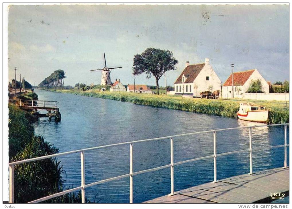 Damme  Het Vissersparadijs + De Molen / Le Moulin - Damme