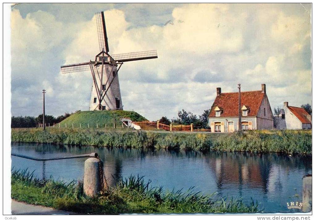 Damme   De Molen / Le Moulin  (kleur) - Damme