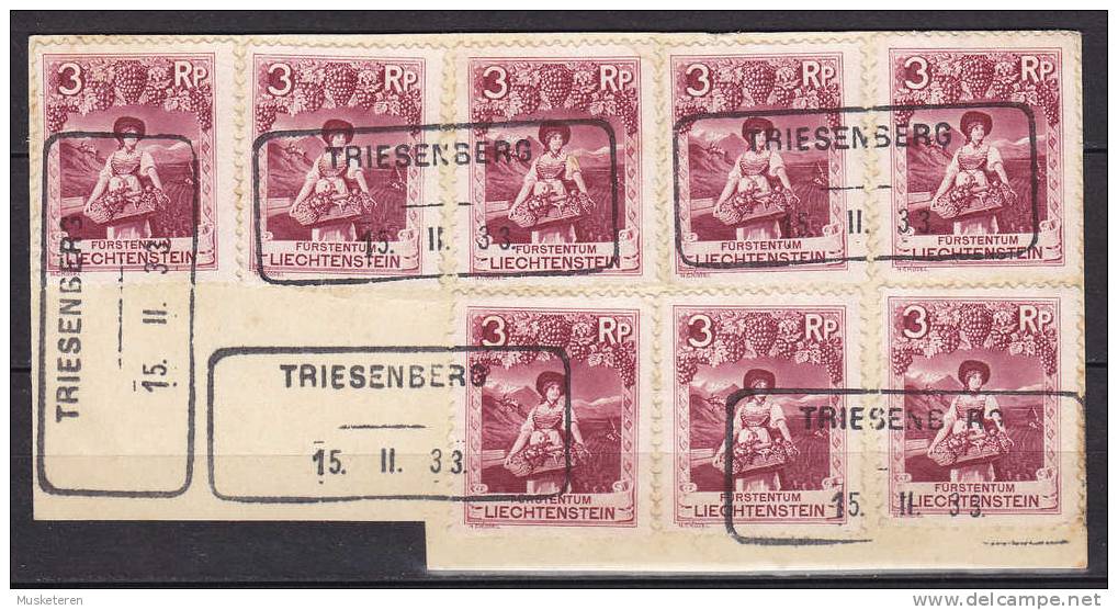 Liechtenstein 1930 Mi. 94   3 Rp Winzerin In Vaduz 8 Stamps On Piece Deluxe Boxed Cancel TRIESENBERG !! - Gebruikt