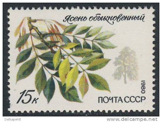 Soviet Unie CCCP Russia 1980 M 5006 YT 4746 ** Fraxinus Excelsior : European Ash / Frêne élevé / Esche / Es - Trees - Bomen