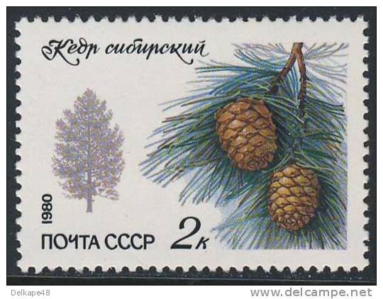 Soviet Unie CCCP Russia 1980 M 5002 YT 4742 ** Pinus Cembra : Swiss Pine / Zirbelkiefer / Alpenden - Trees / Abres - Bomen