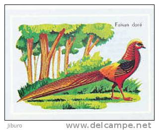 Image /  Faisan Doré  /  Phasianidés  /  Coq Écouter Pheasant  /  Oiseau Bird  // IM 5/332 - Autres & Non Classés