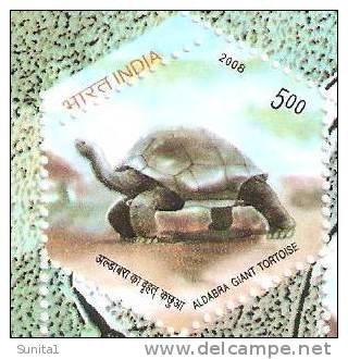 Turtle, Tortoise, Reptile, Perforation Error, India - Tortues