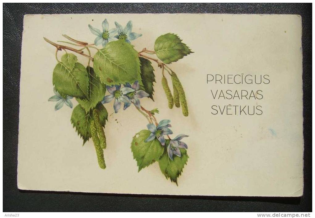 Latvia  Summer  Holidays - Pentecost - Linden Lime-tree Birch Branch Flowers - Pinksteren